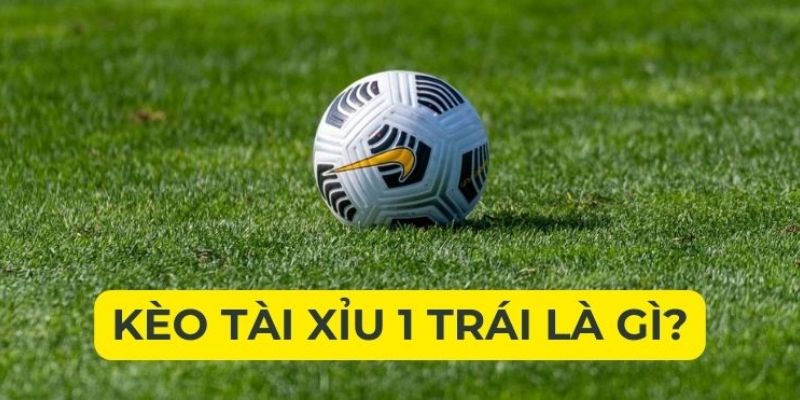 Tài Xỉu 1 Trái Và Kinh Nghiệm Soi Kèo Trăm Trận Trăm Thắng