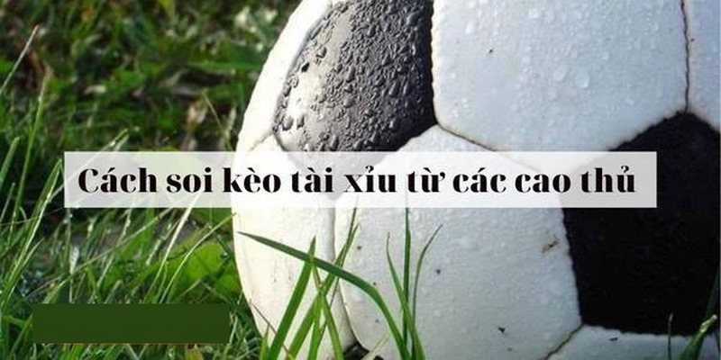 Soi Cầu Tài Xỉu - Tổng Hợp Kinh Nghiệm Chơi Cá Độ Bóng Đá