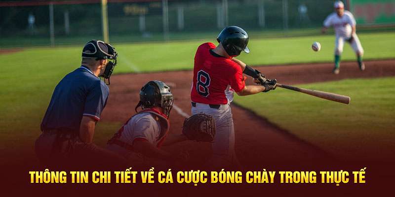 Các Loại Kèo Cá Cược Bóng Chày & Mẹo Cược Thắng Tại Fb88