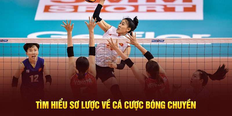 Cá Cược Bóng Chuyền - Trò Chơi Mang Về Tiền Tỷ