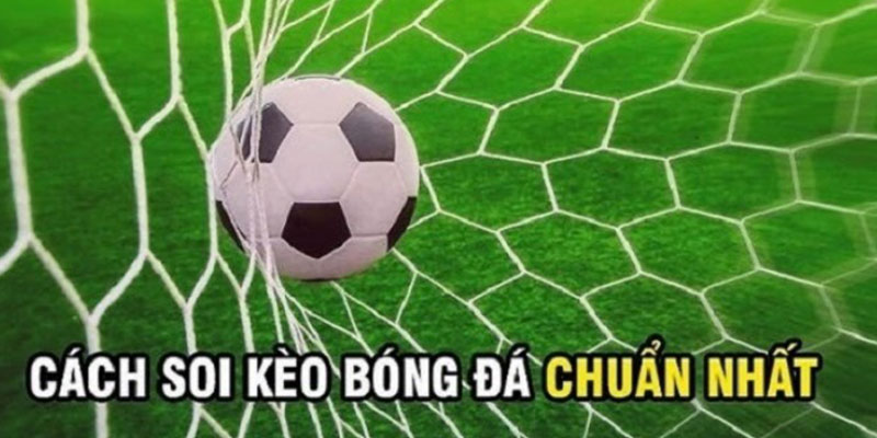 Mách Bạn Cách Soi Kèo Khi Chơi Cá Độ Bóng Đá Trực Tuyến