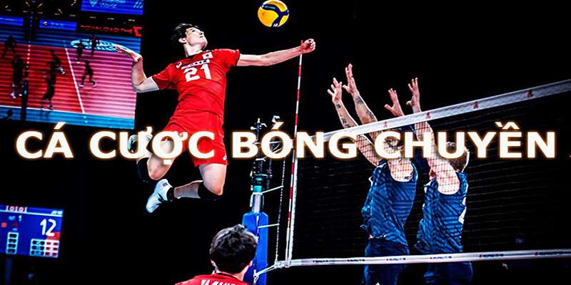 Cá Cược Bóng Chuyền - Trò Chơi Mang Về Tiền Tỷ