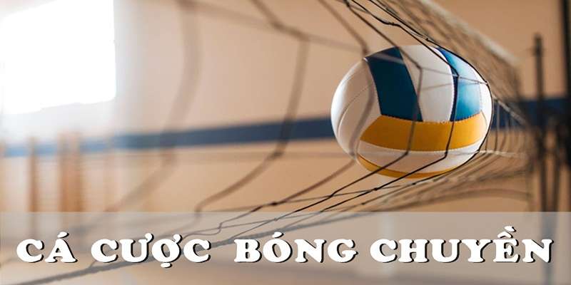 Cá Cược Bóng Chuyền - Trò Chơi Mang Về Tiền Tỷ