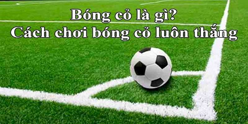 Bóng Cỏ - Loại Hình Dành Cho Những Tân Thủ Mới Nhập Môn