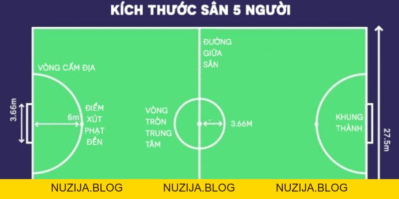 Kích Thước Sân Bóng Đá 5 Người Có Quy Định Như Thế Nào?