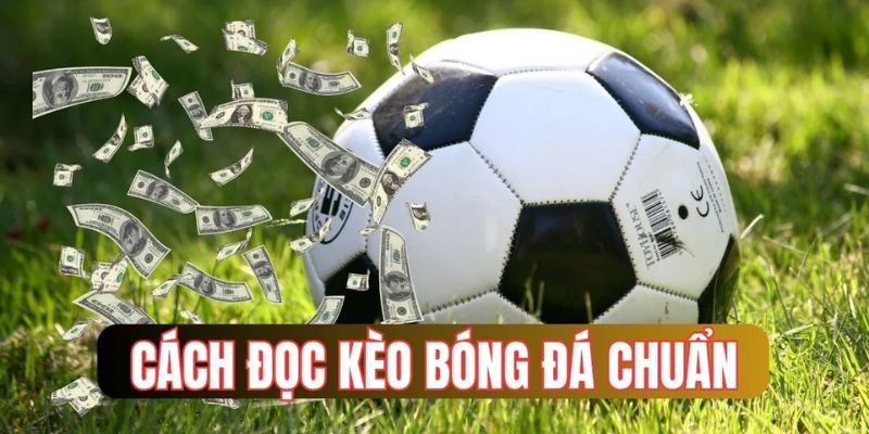 Hướng Dẫn Cách Đọc Kèo Bóng Đá Trên Mạng Tân Binh Cần Biết