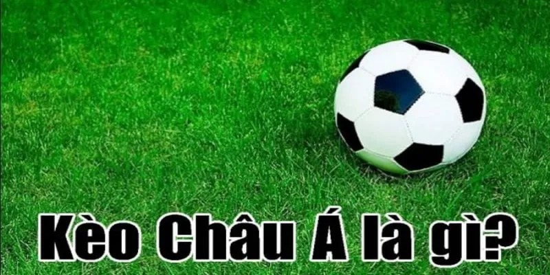 Tips Đọc Tỷ Lệ Cược Châu Á Chuẩn Chỉnh Cho Người Mới