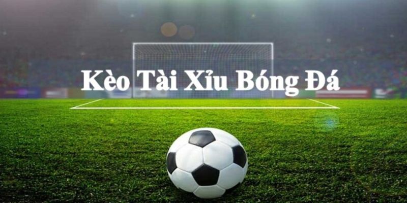 Bật Mí Các Cách Soi Kèo Tài Xỉu Dễ Thắng Cho Cược Thủ