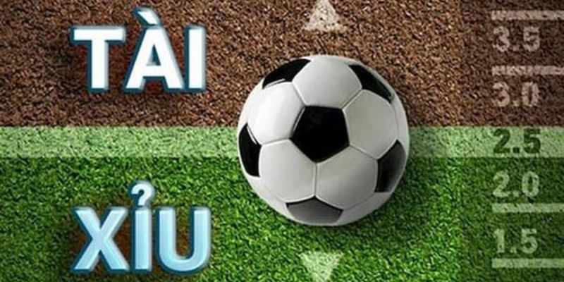 Bật Mí Các Cách Soi Kèo Tài Xỉu Dễ Thắng Cho Cược Thủ