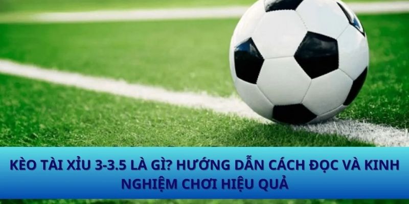 Tài Xỉu 3-3 5 - Hình Thức Cá Cược Cực Hot Trong Giới Bóng Đá