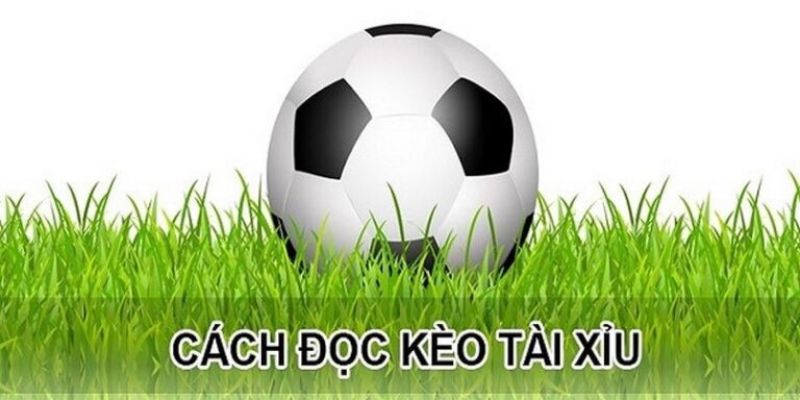 Tài Xỉu 3-3 5 - Hình Thức Cá Cược Cực Hot Trong Giới Bóng Đá