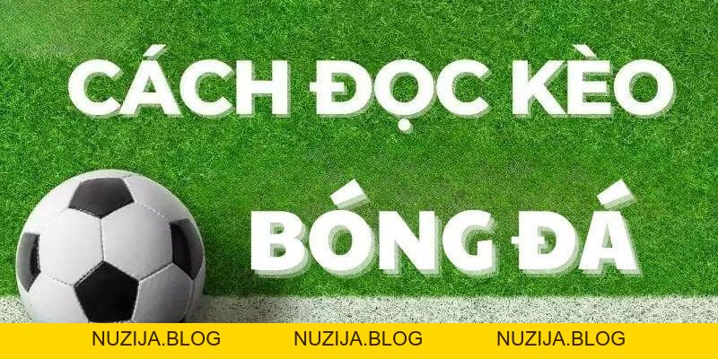 Hướng Dẫn Cách Đọc Kèo Bóng Đá Trên Mạng Tân Binh Cần Biết