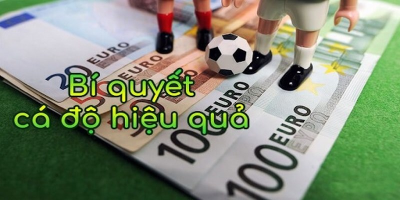 Đánh Giá Trang Web Nhận Định Bóng Đá 24h Đầy Đủ Nhất