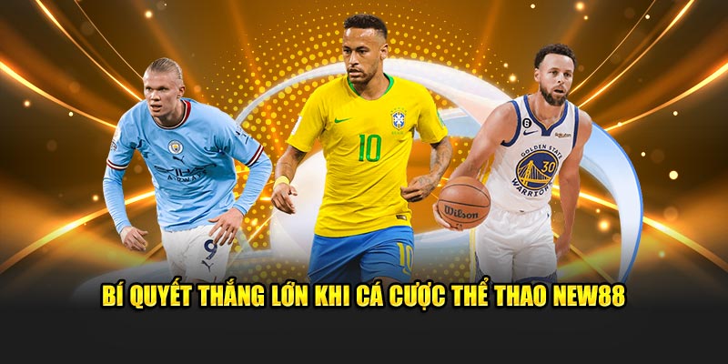 Thể Thao New88 – Sân Đấu Đẳng Cấp Làm Thỏa Mãn Người Chơi