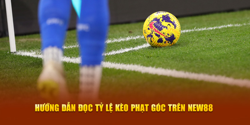 Kèo Phạt Góc New88 - Bí Quyết Cược Hiệu Quả Cho Người Chơi