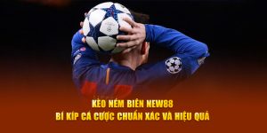 Blog New88 - Cẩm Nang Giải Trí Và Cá Cược Trực Tuyến Hàng Đầu