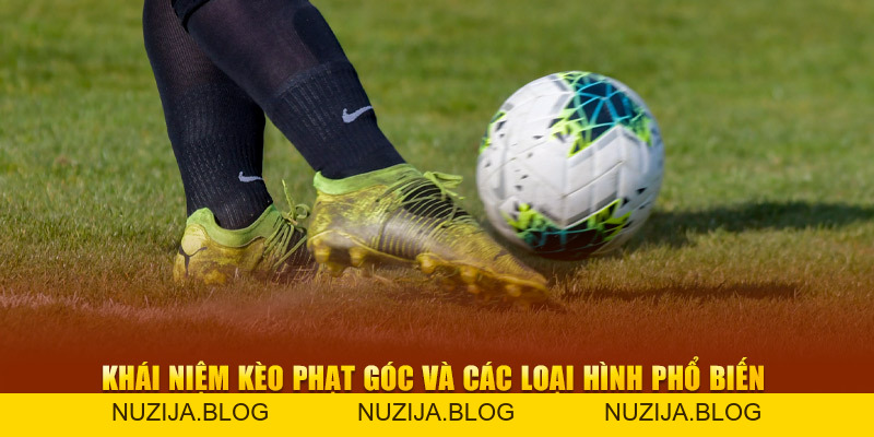 Kèo Phạt Góc New88 - Bí Quyết Cược Hiệu Quả Cho Người Chơi