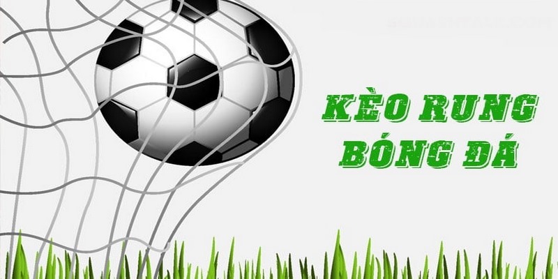 Kèo Rung - Tips Đánh Rung Hiệu Quả, Nâng Cao Tỷ Lệ Thắng