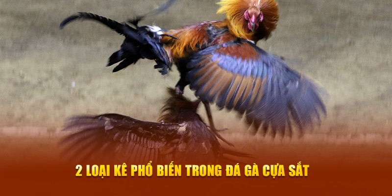Đá Gà Cựa Sắt – Bí Quyết Chiến Thắng Khi Tham Gia New88