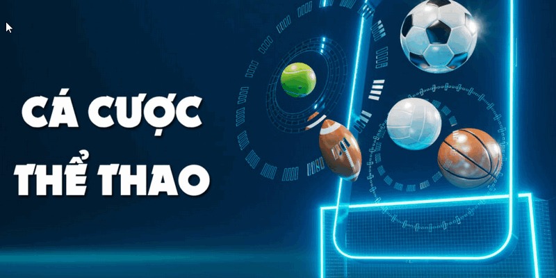 A -Sporst - Khám Phá Sảnh Thể Thao Đắt Khách Tại FB88