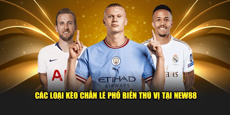 Kèo Chẵn Lẻ New88 - Cách Đặt Kèo Và Chiến Lược Cá Độ