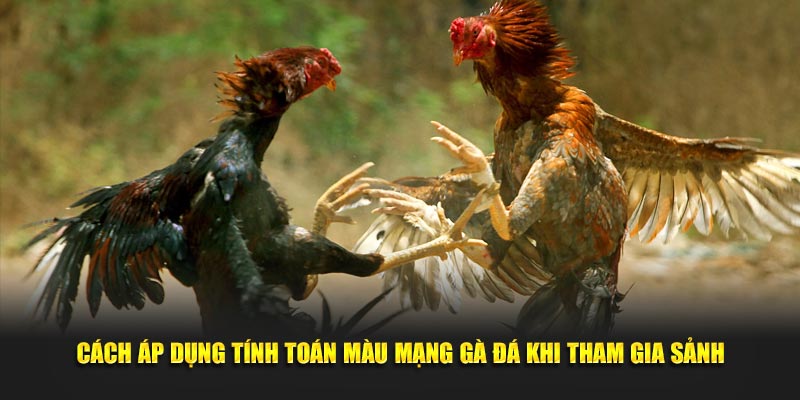 Màu Mạng Gà Đá 3 Bí Kíp Chọn Kê Chiến Đỉnh Cao Tại New88