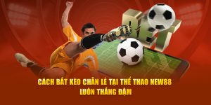 Blog New88 - Cẩm Nang Giải Trí Và Cá Cược Trực Tuyến Hàng Đầu