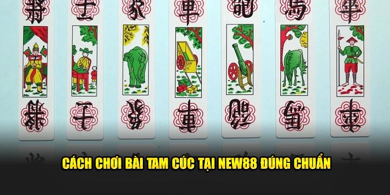 Cách Chơi Bài Tam Cúc Đơn Giản và Hiệu Quả Cho Tân Thủ