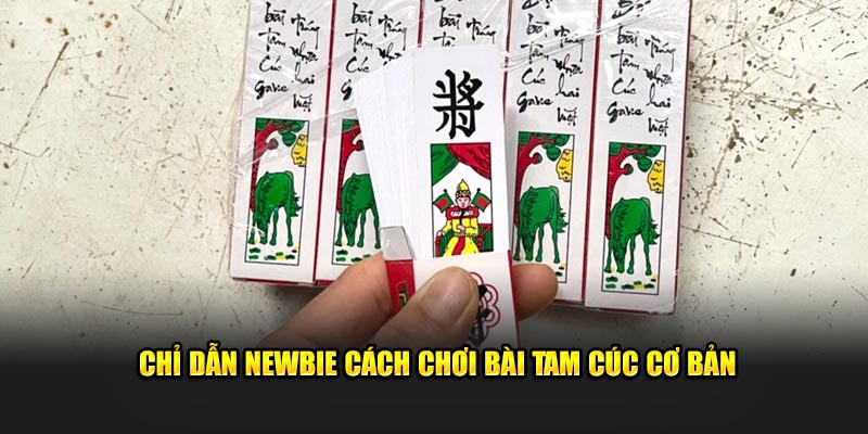 Cách Chơi Bài Tam Cúc Đơn Giản và Hiệu Quả Cho Tân Thủ