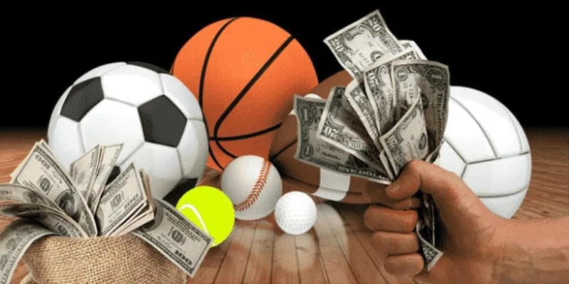 A -Sporst - Khám Phá Sảnh Thể Thao Đắt Khách Tại FB88