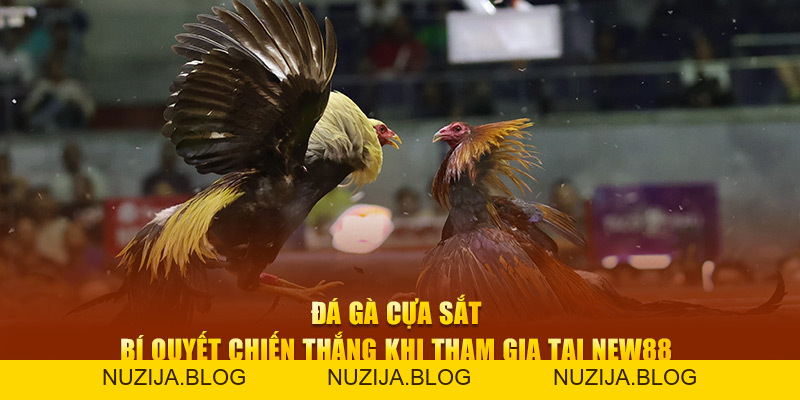 NEW88 Buzzbase | Link Truy Cập Chính Hãng NEW88.COM 2026