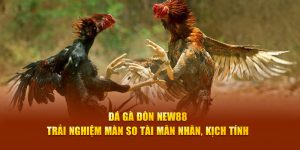 Đá Gà New88 – Sức Hút Từ Trò Chơi Đấu Trường Máu Lửa