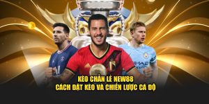 Thể Thao New88 – Sân Đấu Đẳng Cấp Làm Thỏa Mãn Người Chơi