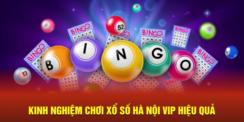 Hà Nội Vip New88 - Bật Mí Bí Kíp Soi Cầu Lô Đề Cực Hay