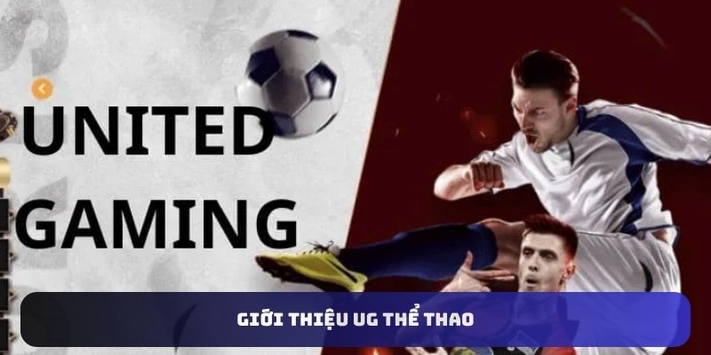UG Thể Thao - Địa Chỉ Cá Độ Uy Tín Không Thể Bỏ Qua
