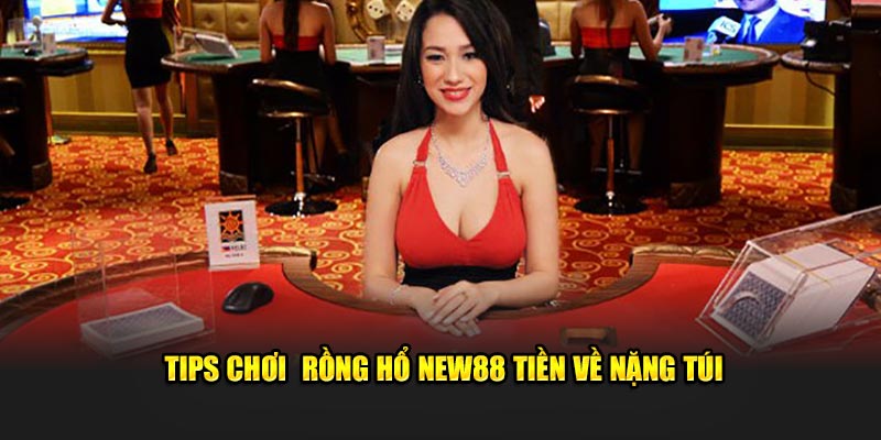 Rồng Hổ New88 - Đặt Cược Dễ Dàng, Nhận Thưởng Khủng