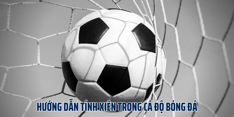 Cách Tính Kèo Xiên & Kinh Nghiệm Chốt Kèo Luôn Thắng