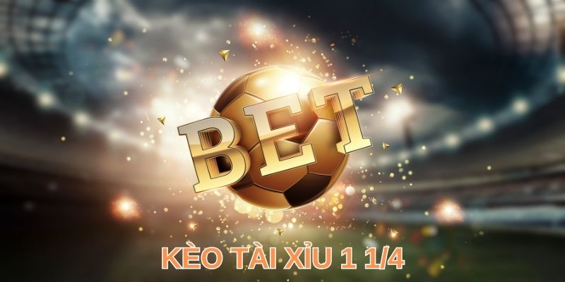 Tài Xỉu 1 ¼ Là Gì? Giải Mã Cách Đọc & Học Bí Kíp Hay