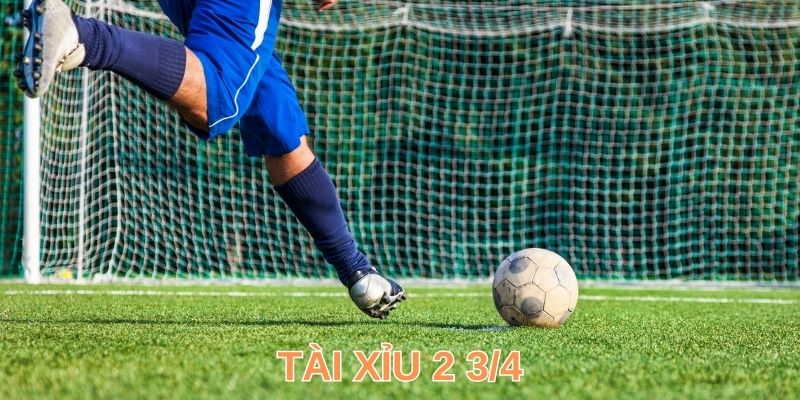 Kinh Nghiệm Đánh Tài Xỉu 2 ¾ Hiệu Quả Cao Như Dân Chơi