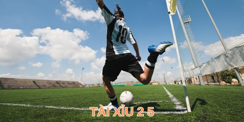 Tài Xỉu 2 5 - Hiểu Cách Đọc Dự Đoán Kết Quả Toàn Thắng