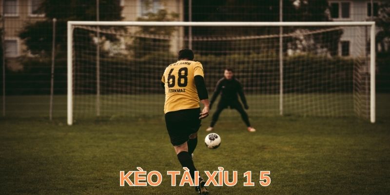 Tài Xỉu 1 5 - Tìm Hiểu Cách Đọc & Bí Kíp Bắt Kèo Luôn Dính