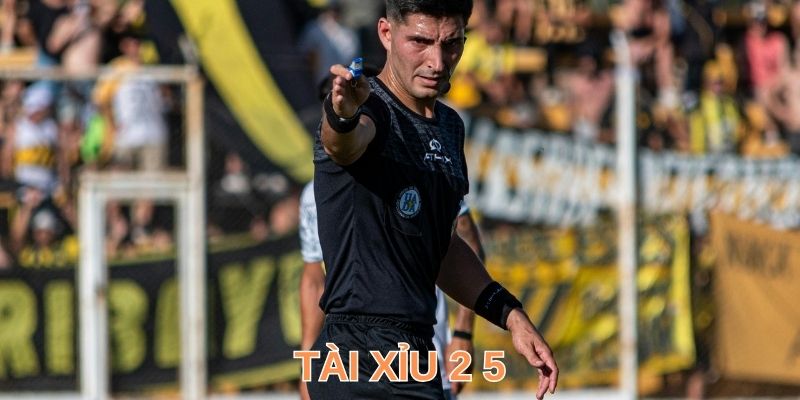Tài Xỉu 2 5 - Hiểu Cách Đọc Dự Đoán Kết Quả Toàn Thắng