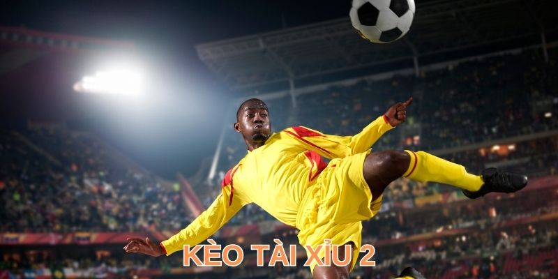 Tài Xỉu 2 Trái Là Gì? Tiết Lộ Cách Đọc Và Dự Đoán Chuẩn