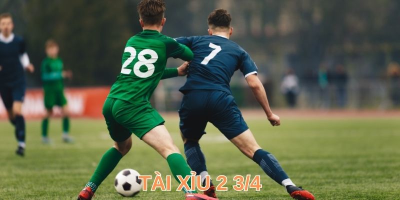 Kinh Nghiệm Đánh Tài Xỉu 2 ¾ Hiệu Quả Cao Như Dân Chơi