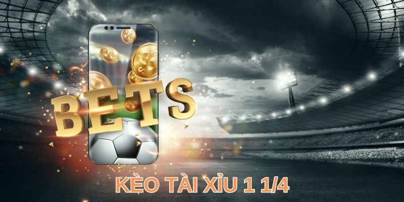 Tài Xỉu 1 ¼ Là Gì? Giải Mã Cách Đọc & Học Bí Kíp Hay