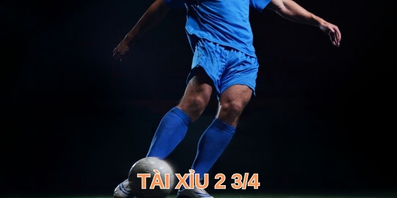 Kinh Nghiệm Đánh Tài Xỉu 2 ¾ Hiệu Quả Cao Như Dân Chơi