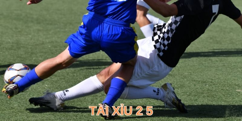 Tài Xỉu 2 5 - Hiểu Cách Đọc Dự Đoán Kết Quả Toàn Thắng