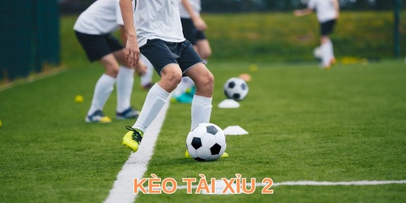 Tài Xỉu 2 Trái Là Gì? Tiết Lộ Cách Đọc Và Dự Đoán Chuẩn