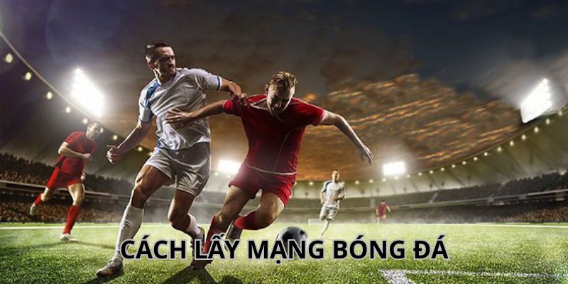 Cách Lấy Mạng Bóng Đá Chuẩn, Nhanh Chóng Cho Người Mới