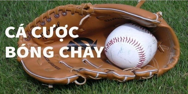 Cá Cược Bóng Chày FB88 – Đón Đầu Giải Đấu, Rinh Quà Hấp Dẫn
